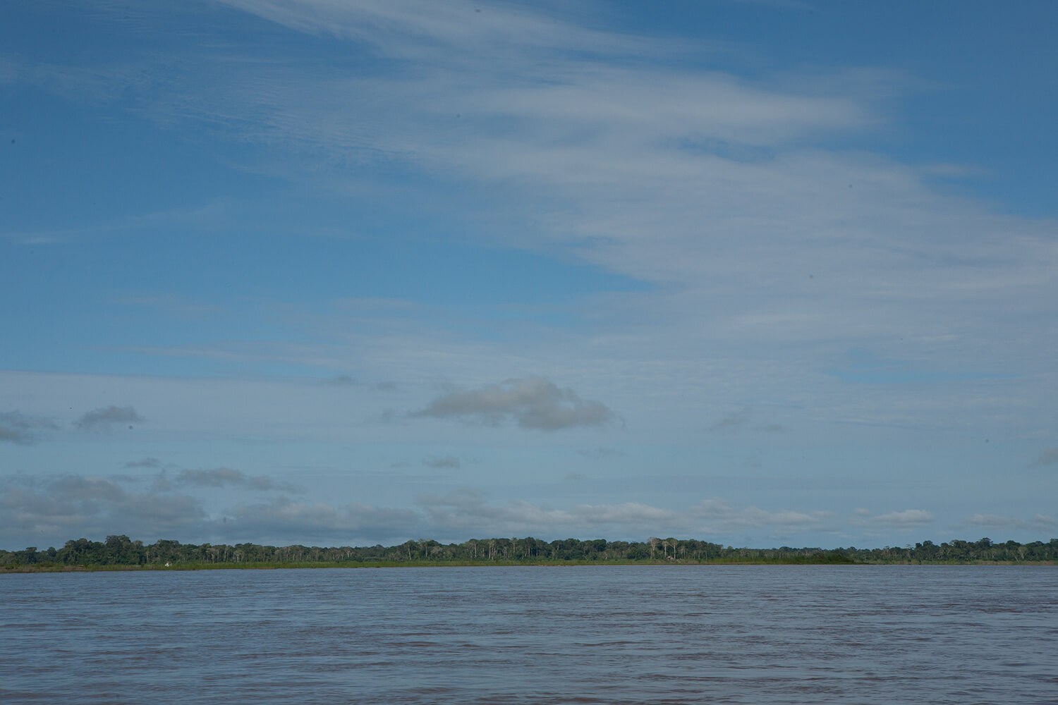 AMAZONAS 36 rio galeria_MG_3963.jpg
